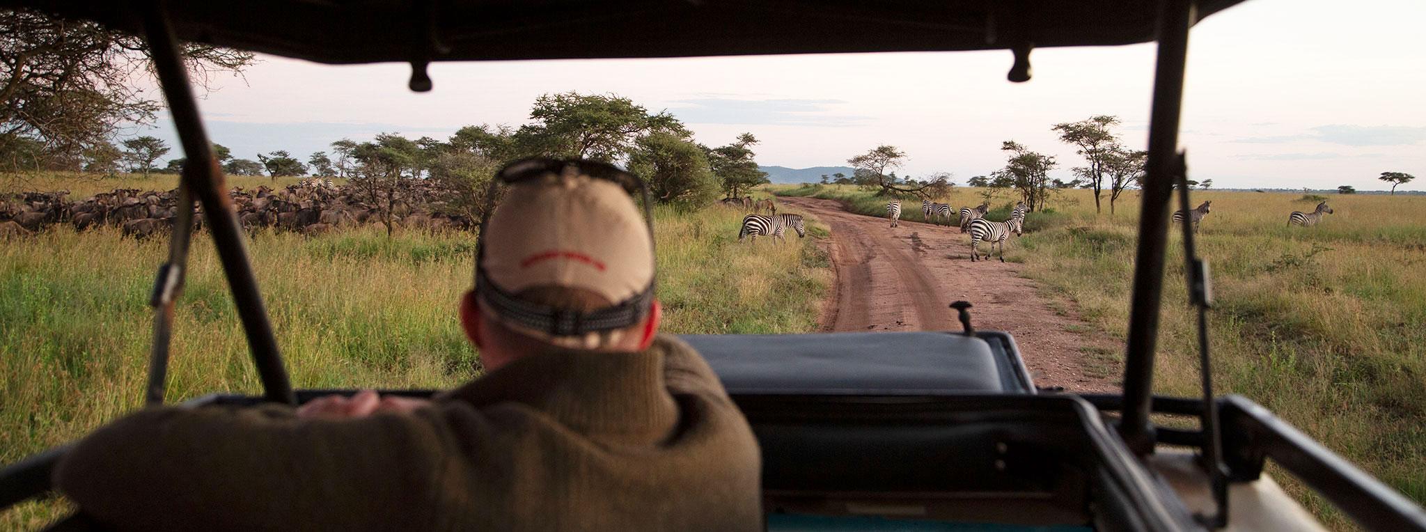 Visit Tanzania