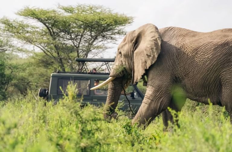 Discover Tanzania