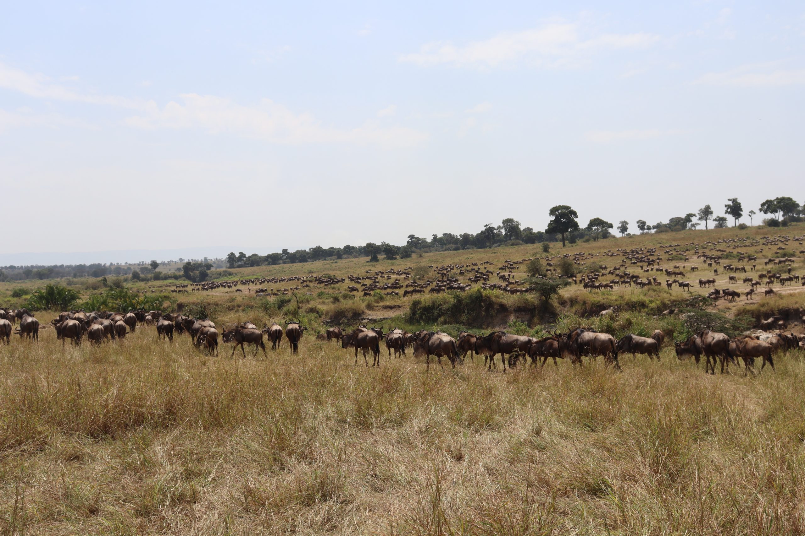 6-Day Tanzania Private Camping Safari