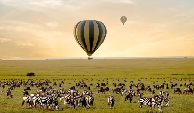ballon
